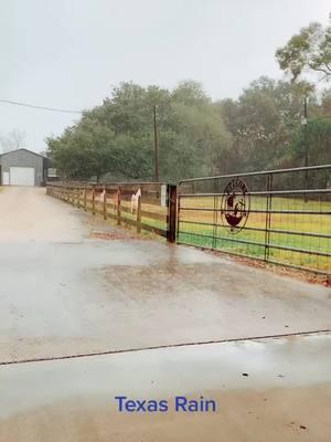 Just that kinda winter.  #rain #texas #decemberrain #winter 