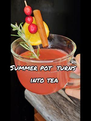 They call it summer pot, I call it tea. #tea #holidaytea #wintertea #summerpot #summerpotrecipes #summerpotrecipe #homedecor #amazonfind  #amazonfinds #icallittea #