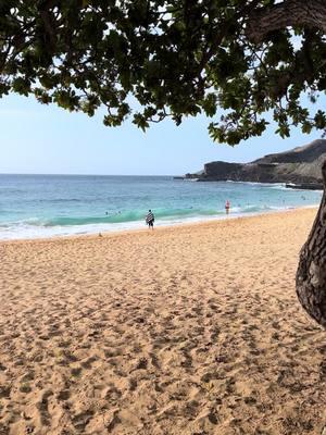 The Thirsty Thursday repawt 12/26/24 #saferbeachesdowndaroad #sandys #sandybeach #oahu #hawaii 