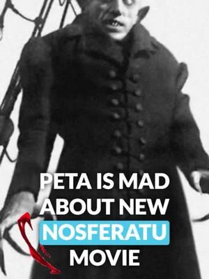 Peta is mad about new Noseferatu movie. #peta #animals #movie #noseferatu #movies #vampire #scary 