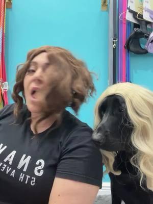 Had a little fun😂It was slow at the store today😂come visit so we don’t have to make more videos. @Mr. Belvedere  . . #snaks5thavenchew #fun #dogstore #dogbakery #dogboutique #wicked #bored #dogreels #doghumor #dogcomedy #besties 