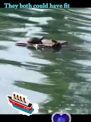 #titanic #fypシ゚viral #fypシ #trending #fyppppppppppppppppppppppp #sassyoutlandernurse #targeted #fypツ #trendingvideo #iykyk #door #neverletgo #turtle @The Musical Cat Dad @Joyce Richey @Ashli | Outlander Fan Page 