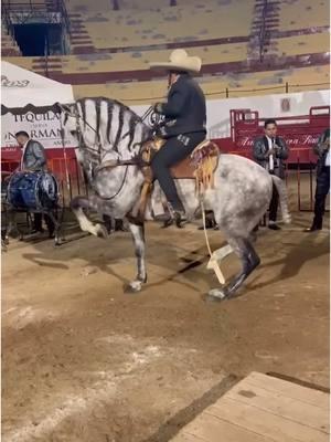 Cuadra Daniel Torres                     #caballosbailadores  #gentederancho  #gentederanchowashington  #jaripeos  #bailes  #cuacos  #mexico  #guerrero  #jalisco  #nayarit  #sinaloa  #michoacan 