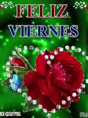 Feliz viernes 🌹🌹🥰🥰 #felizdia  #felizviernes #buenosdias  #greymerrr  #estadosparawhatsapp 