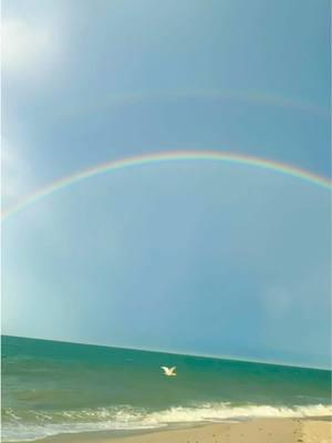 Nature is my soundtrack 🌊✨ Very peaceful except when the squirrels are yelling at me #CapCut #lifewithouttrendingaudio #naturelover #oceanlover #naturevibes #mothernature #rainbow #beachlife #beachlifestyle #floridalife #floridalifestyle #beachvibes #beachvibes🌊 #beachaesthetic #beachgirlaesthetic  . .  . Life without trending audio, beach girl aesthetic, beach girl life, beach life, Florida life, beach vibes, beach lifestyle, Florida lifestyle, nature lover, nature girl, nature vibes, ocean lover, Mother Nature, ocean girl, rainbow 