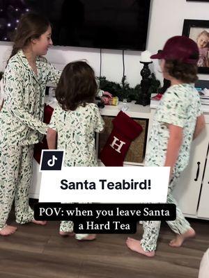 Turns out, Santa loves @teabird hard tea #hardtea #teabird #christmas #santa @Jason Aldean 