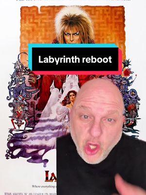 A young female must go on a journey in order to rescue her baby brother who has been kidnapped by a sinister male master of manipulation who tests her. In order to rescue her baby brother, she must successfully pass the tests and not suffer any consequences in the process. #labryinth #fantasy #fyp #foryoupage #davidbowie #horror 