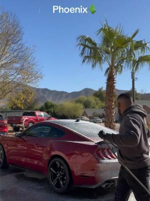 Watch me detail this mustang! $200 detail 🧼  #phxaz #phoenixaz #scottsdalearizona #scottsdaleaz #mobiledetailing #autodetailers #business #fyp 