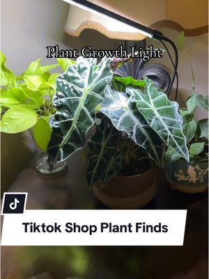 Tiktok shop has some great plant finds also plants too! #TikTokShop #plantfinds #plants #plantsoftiktok #plantmama 