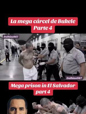 #bukele #viral #cecot #politicoscorruptos #parati #elsalvador🇸🇻 #elsalvador503 #cecotelsalvador #nayibbukelepresidente #megaprison #viralvideo #fypシ #nomaspandillerosenelsalvador🇸🇻 #fyp #viraltiktok #elsalvador #fy #pandillasnuncamas #oroelsalvador #parati #elsalvador #elsalvadortiktok #megaprison #vivabukele #nayibbukelepresidente 