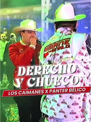 Derecho y Chueco 🍓🐊 @Panterbelikiki X @edicionespecialoficial x @loscaimanesdesinaloa  #corridos #derechoychueco #loscaimanesdesinaloa #panterbelico #picoriverasportsarena #fyppppp #viral #parati 