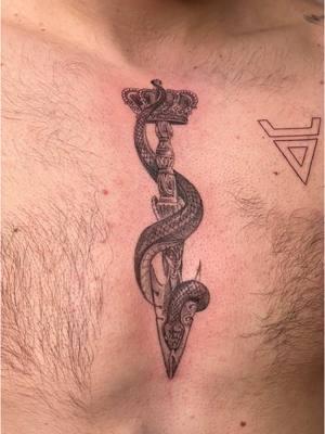 Serpent and Dagger 🗡️ 🐍 #finelinetattoo #latattooartist #tattooreveal #tattooideas #serpent #daggertattoo 