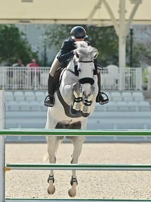 Ready to get back to this feeling in a few weeks ❤️❤️❤️ #onthisday #ocalaflorida #horsesoftiktok #horsegirl #internationalshowjumper #fypシ゚viral #internationalshowjumper #worldequestriancenterocala #horsesoftiktok🐴 #fyp 