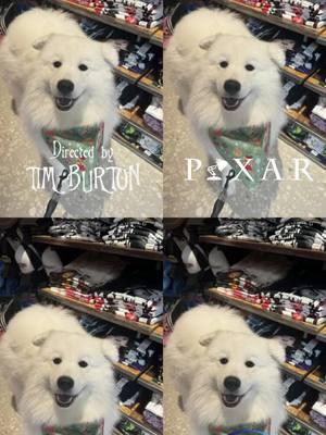 #CapCut #fyp #foryoupage #dogsoftiktok #merrychristmas #samoyedsoftiktok #nakitathesamoyed 