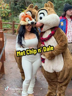 Met Chip N’ Dale! #fyp #fypシ #VIRAL #OOTD #DCA #chipndale #chipndalerescuerangers 