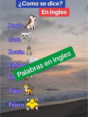 Palabras en ingles #ingles #inglesfacil #inglesrapido #aprendeingles78 #inglesamericano 