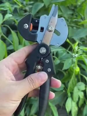 "Upgrade your grafting game with this multi-functional grafting tool! 🌱 Perfect for branches, trees, and fruit trees, this upgraded grafting knife makes your gardening projects easier and more efficient. 🔪 Whether you're a pro or a DIY enthusiast, this grafting tool is a must-have! 🌳 Don’t miss out on this essential tool for your garden! #TikTokShopLastChance #TikTokShopNewYearNewAura #spotlightfinds #GraftingTool #DIYGardening #HomeGardenEssentials #ToolForThePros #PlantCare #GardenHacks"