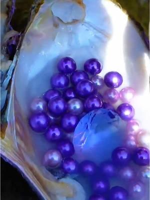 😱Open the giant purple clam, filled with precious purple pearls, so beautiful that it's mesmerizing #pearl #pearlhunter #seafood #jewelry #pickingpearls #huntingpearl #fyp #foryou #tiktok 