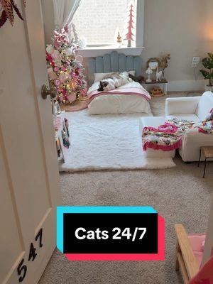 #cattok #catlover #catoftiktok #adorablecats #ragdollcat #catroom #luxurylife #catbedroom #catbed 