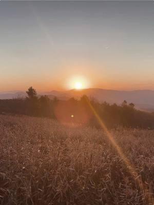 I announced that I will be sharing episodes of making my nature documentary yesterday! Make sure you are up to date by turning on my bell for posts! The new home will be announced as well as the first episode date on new years! #liferightnow #hikingadventures #appalachianmountains #hikersoftiktok #biologistontiktok #creatorsearchinsights #nature #announcement #naturedocumentary #behindthescenes 