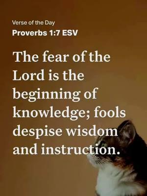 Peace Love and Blessings ❤️#fypage #FYP #fyp #holdonchangeiscoming #prayerchangesthings🙏 #allthingsarepossiblewithGod #letnotyourheartbetroubled #keepyourheadtothesky #prayerchangesthings🙏🏽 #jesuslovesyouandjesussaves #peaceloveandblessings 