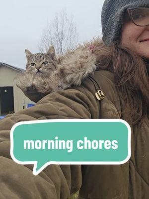 When Soup sees the coat he knows it's chicken time. #soup #farm #farmtok #soupthecat #cattok #catsoftiktok #kitten #kittentok #farmanimals #animallover #adoptdontshop #chores #morningchores #routine #morningroutine #fancy #adamsandlerseason 