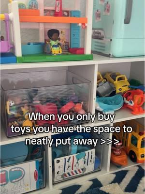 Organization for my sanity. #toyorganization #preschoolmom #boymom #organized #toddlertoys #fyp 