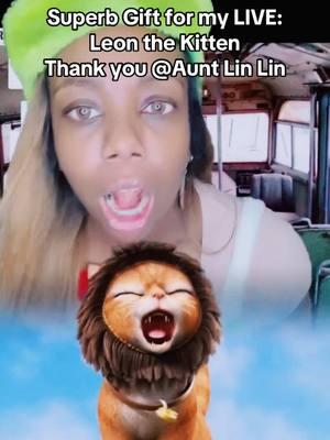 Thank you for the great Gift sent to my LIVE! Your appreciation for my content means a lot to me.@Aunt Lin Lin #livegift #leonthekitten #livegift #hightlights #livehighlights 