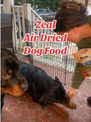 @Zeal Pet Food is scrumptious 🤤🐶🐱 #dogfood #trainingtreats #airdried #catfood #zealpetfood #healthypets #rottweilersoftiktok #dogsoftiktok 