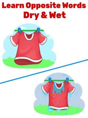 💧☀️ Let's learn English with opposite words! DRY 🌞 and WET 💧 - can you spot the difference? 🧐 This fun video is perfect for kids to build vocabulary, understand opposites, and practice English in an easy and exciting way! Learning is always better when it's fun! 🎉 #DryAndWet #LearnOpposites #KidsLearningFun #ToddlerLearning #LearnEnglish #KidsActivities #LearnWithTikTok #EnglishForKids #PreschoolLearning #Edutok #PreschoolTeacher #OppositeWords #ForYouKids #ToddlerActivities #ForYouPage #EnglishTeacher #PreK #Homeschooling #Preschoolers #ViralVideo #KidsTikTok #RVAppStudios #LearnOnTikTok #Homeschool #LucasAndFriends #LearningIsFun #EducationForKids #EarlyLearning #LanguageDevelopment #KidsEducation #ViralLearning