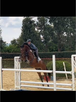 Wow. Wow. Wow. WOW. I have a feeling this one won’t last long. So excited to welcome Murielle to our US sales string. I can’t wait for her to arrive next week! This one will go fast. 😍😍 #FORSALE #equestrian #Wef #GrandPrix #showjumper #breedthebest #equestriansport #PonyUpSporthorses #Murielle