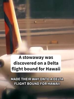 A passenger without a ticket was kicked off a Delta flight this week after having sneaked onto a flight from Seattle to Hawaii, the airline said. The unidentified person was apprehended after having been booted from the flight before takeoff, Delta said in a statement. #TODAYShow