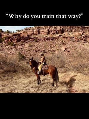 Always for the horse  #naturalhorsemanship #vaquera #spanishhorse #mustanghorse #fyp #tradition 