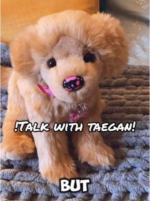 I’ve yet to seen someone discuss this so let’s chat! #theessapets #essa #fypシ #viral #fyp #trending #esa #douglasdogs #ssd #emotionalsupportstuffy #emotionalsupportstuffies #emotionalsupportplush #emotionalsupportstuffeddogs #douglasdog #douglasdogcollector #art 