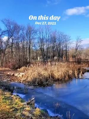 Reflecting on memories #onthisday #naturevibes #naturemotivates #frozen #reflection 