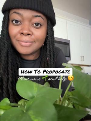 Where the plant moms at 🪴  …Is this the right way? 😩 #plantmom #plantsoftiktok #plantmomaesthetic 