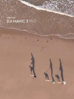 Family fun time! ✨ Can you spot all the members in this video? Drop your guesses in the comments! 🤔  🎥: @scotdrone #DJIMavic3Pro #DJI #FamilyFun #petlover #DroneChallenge #FYP