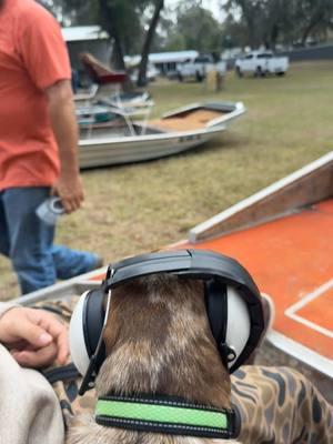 #Florida #airboatlife 