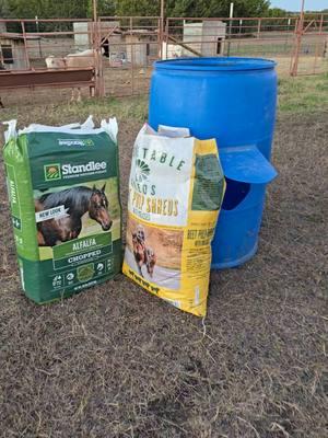 Replying to @lavendergraycefarms let's fill up the diy zero waste barrel to feed the goats! Standlee chopped alfalfa is the absolute best! We usually buy their beet pulp as well, but my TSC was sold out. #feedinggoats #farmwork #howto #howtomake #goatfeed #goatfood #livestock #smalllivestock #homestead #diyfarm #zerowastebarrel #homesteadtiktok #homesteading #homesteadingwithgoats #goatsoftiktok #goats #standlee #standleealfalfa @Standlee 