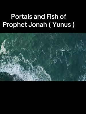 Portals and Fish of  Prophet Jonah ( Yunus ) #portal #portals #jonah #yunus #younus #fyp #syedsaadqadri 