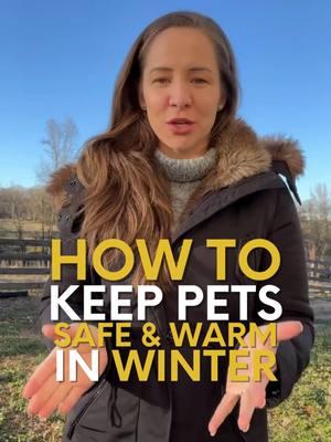 Let's keep our pets safe and warm with these cold weather pet tips from @dr.vanesafarmer! #petparent #petparents #petparentsoftiktok #coldweather #coldweathertips #coldweatherpets #veterinarian #veterinariansoftiktok #webmd