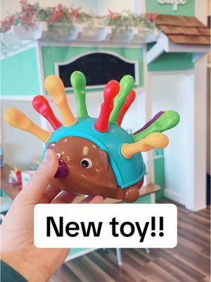 Why did nobody tell me!!! @Learning Resources #indoorplayroomowner #indoorplayground #play #toys #playroom #fun #kids #indoorplayroom #pretendmarket #indoorplaygroundowner #viral #funny #toy #spike #learningresources 