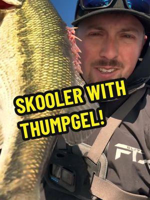 What do you think is wrong with this bass? I’ve been crushing them on a Mach Skooler lately! So fun! @MACH Nation @THUMP GEL LLC  #nordbye #fishingwithnordbye #nordbyefishing #fishing #bassfishing #bigbass #lake #lakelife #water #boat #boating #boatlife #bassboat #godisgood #flipping #sunset #fish #fisherman #angler #rippinlips #garminlivescope #thumpgel