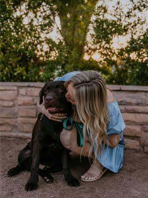 Best news I’ve heard all week  #PetsOfTikTok #labpuppy #labradorretriever #fyp #viral #chocolatelab #1min #longervideos #puppylove #creatorsearchinsights