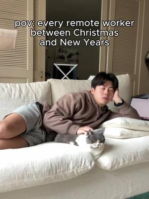 me all year long tbh   #cat #cattok #catsoftiktok #cats #sillycat #catmeme  #catvideos #sillycats #catmemesdaily #unusualvideos #catmemes  #funnycats#cutecats #wholesomecats #dailycats