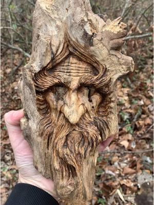 “Forest Warlock” #driftwood#artistsoftiktok#nature#carvings