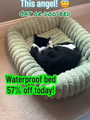 Do they make adult sizes? I need one. Grab one for your cat or dog today at this insane deal! #insanedeal #PetsOfTikTok #pet #petbed #bed #waterproofbed #cat #dog 