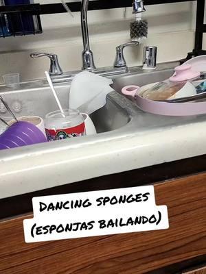 dancing sponges #clean #cleaning #sponges #dancing #sponges  #esponja #bailando #kitchen #deepclean 