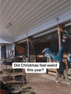 I love horses. End of story. #fyp #horsegirl #morning #morningroutine #barn #chores #choresinthishouse #ditl #Vlog #4upage #relatable #christmas #yay #fypppp #barrelracer #barrelracing #western #winter 