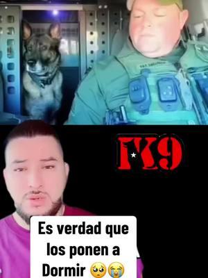 K9 se retira y recibe honores #k9 #k9unit #k9softiktok #petlover #pets 